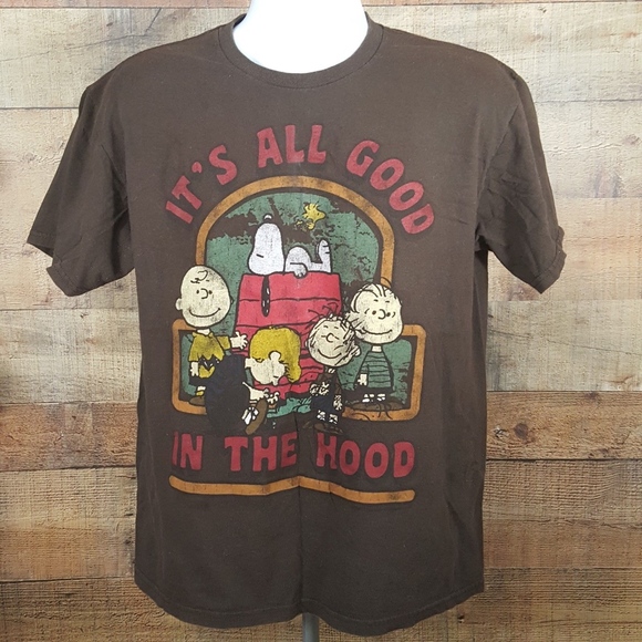 Peanuts Other - Peanuts T-Shirt Men's Brown Size M "It's all good"